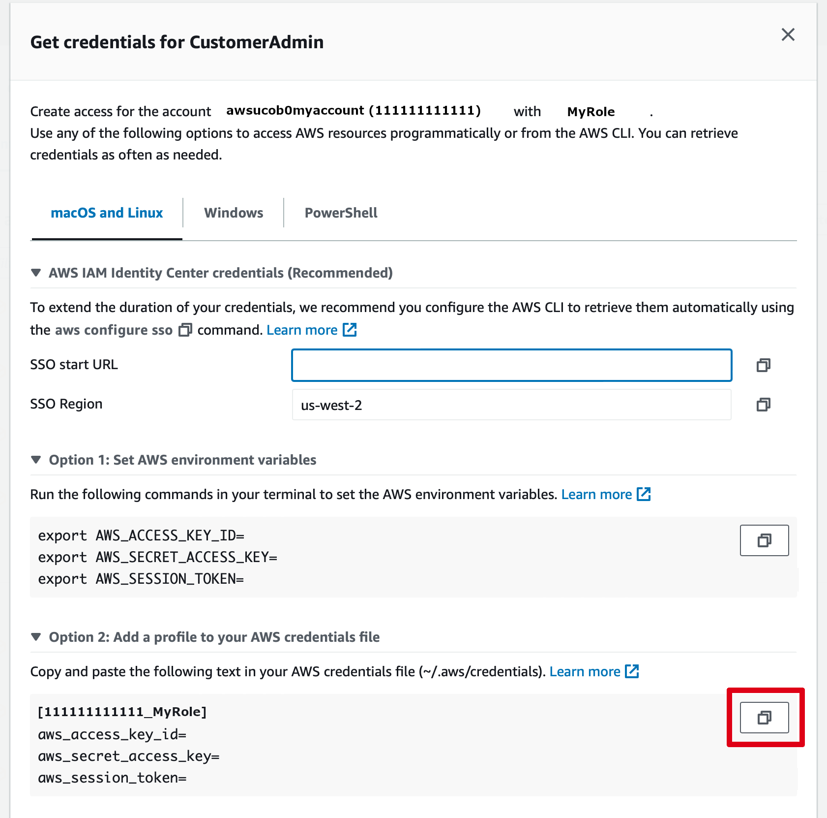 AWS CLI credentials access page with the copy icon circled in red next to a list of configuration lines that contain the current credentials and profile name