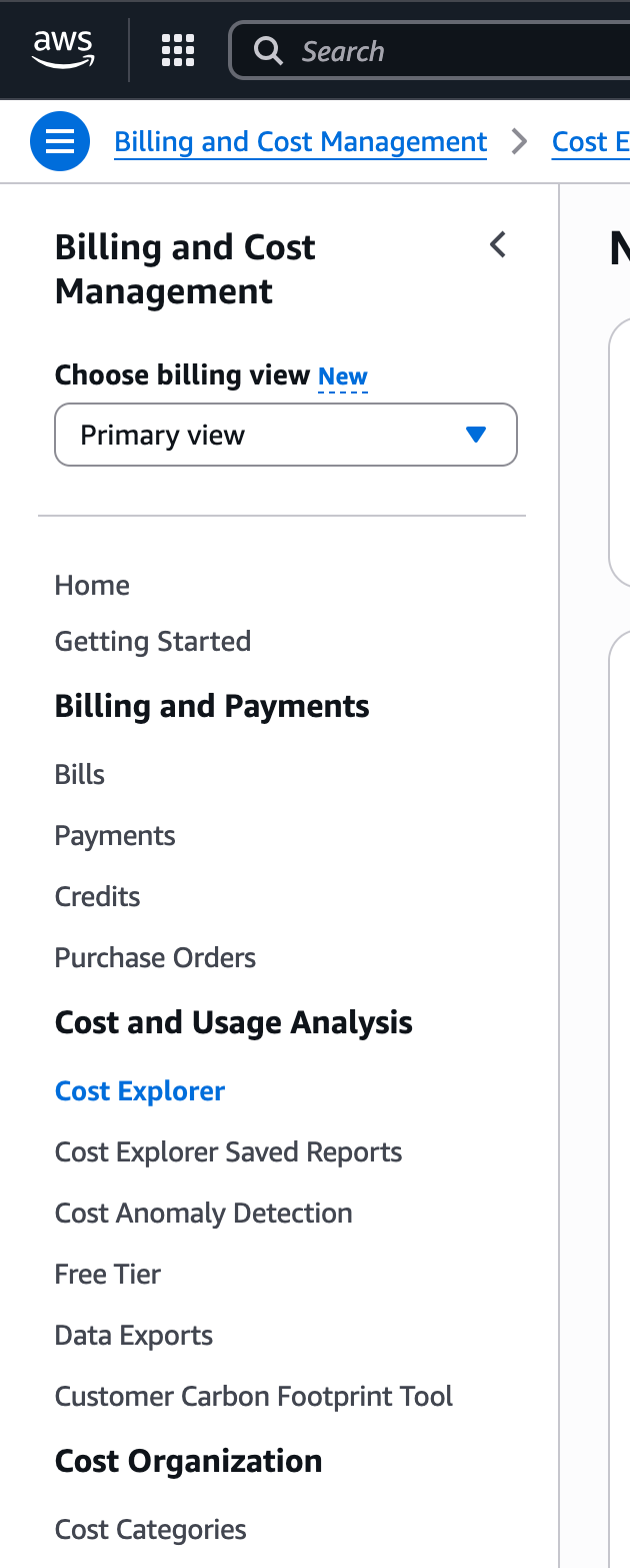 Click on "Cost Explorer" in the menu on the left.