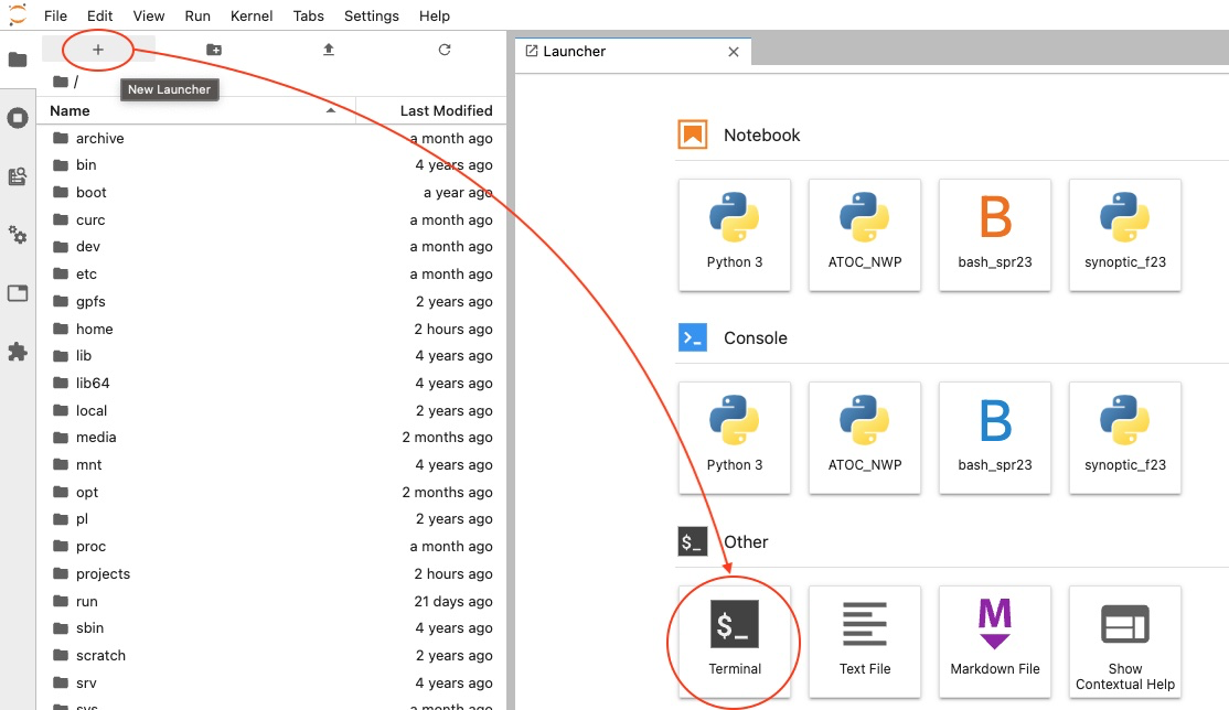 A screenshot showing how to open a terminal application in Jupyter Notebook by clicking the "New Launcher" icon on the left side of the screen and then selecting "Terminal", listed under Other.